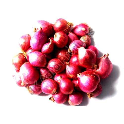 Pink Natural Fresh Small Onion, for Cooking, Shelf Life : 10-12 Days