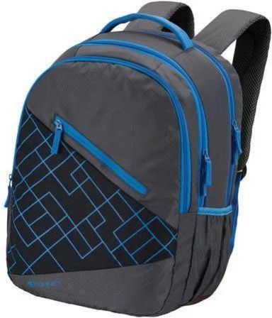 Polyester Boys School Backpack Bag
