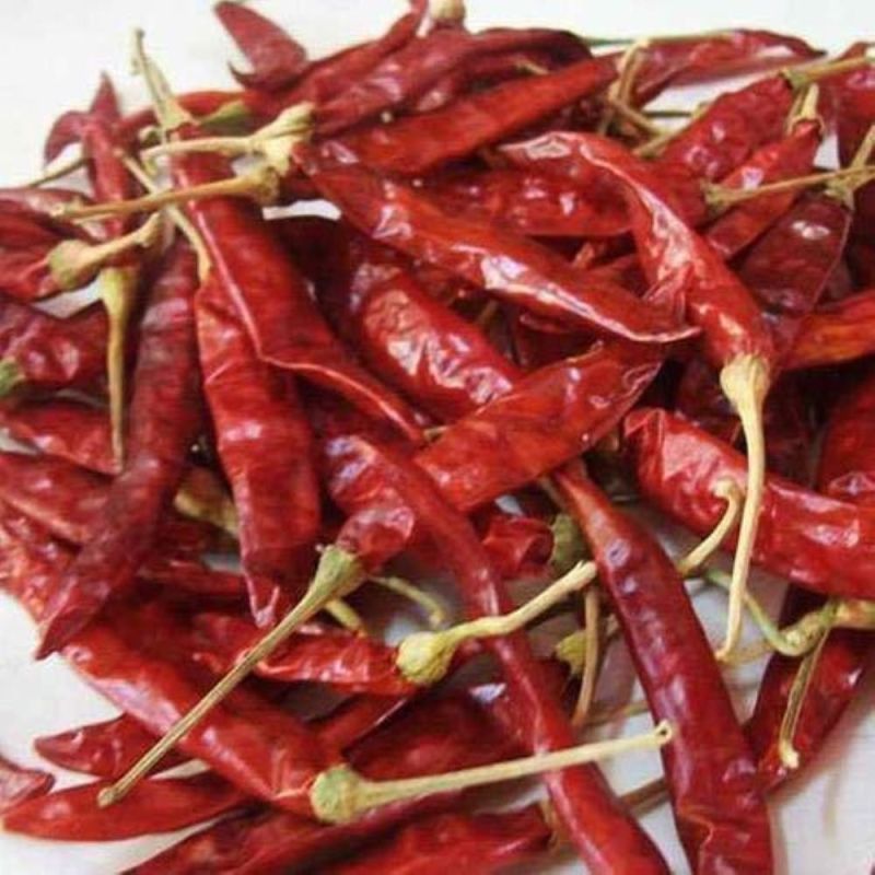 Natural Dried Red Chilli, for Spices, Cooking, Packaging Type : Plastic Packet