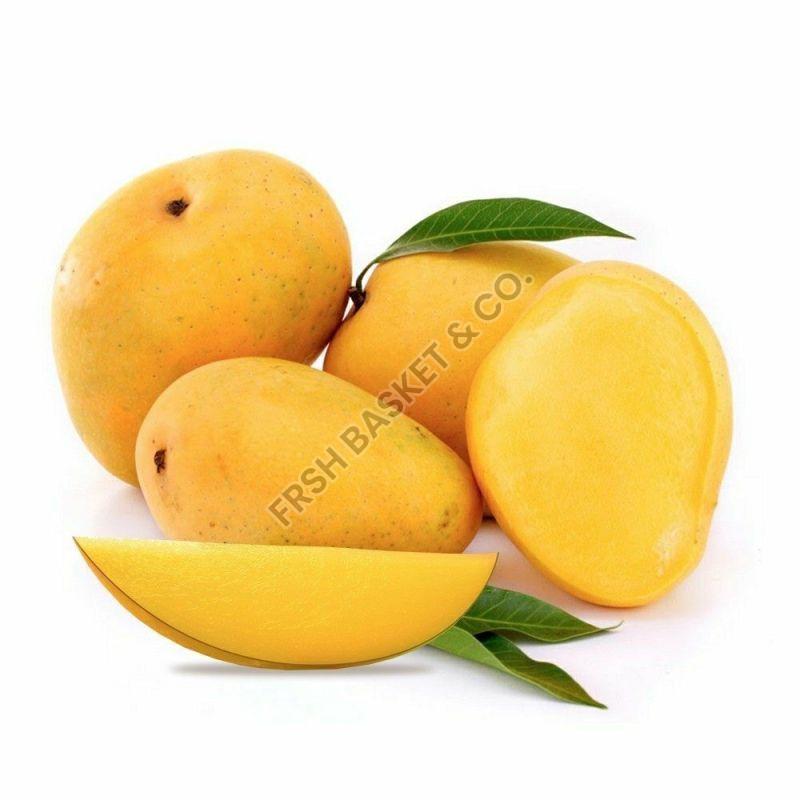 Natural Banganapalli Mango, for Juice Making, Food Processing, Direct Consumption, Packaging Size : 40-50kg