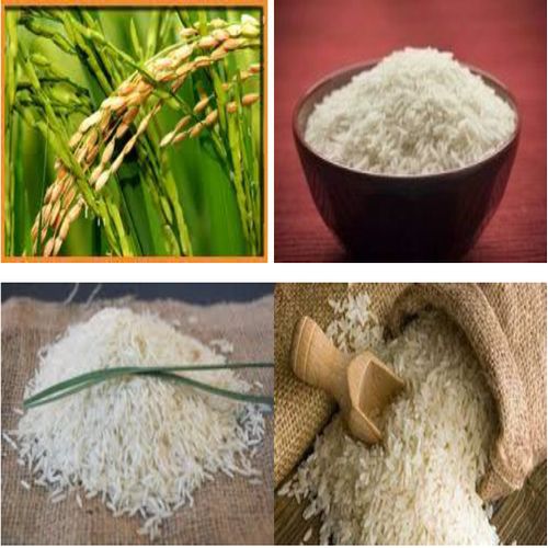 Koyna Exports White Hard Organic Indrayani Non Basmati Rice, For Cooking