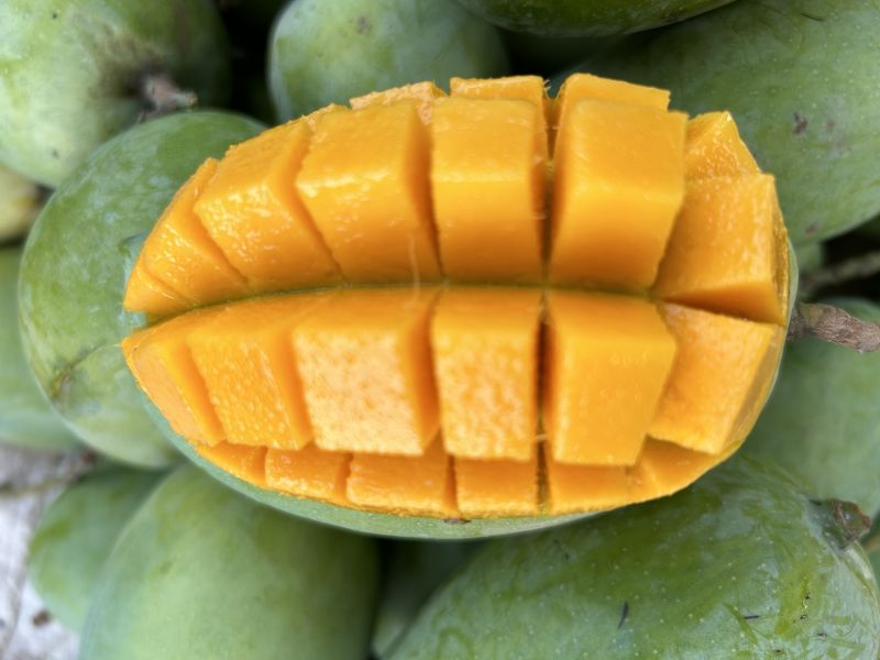 Kesar mango, for Juice Making, Packaging Size : 10 Kg