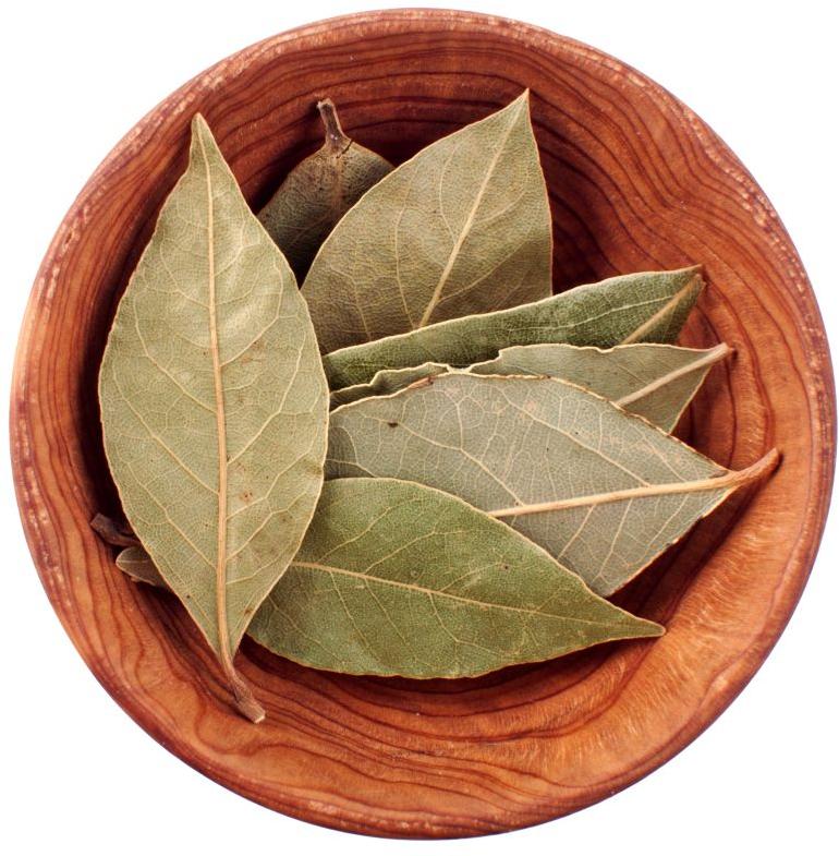 Green Bay Leaf, for Cooking, Packaging Type : Plastic Packet at Best ...