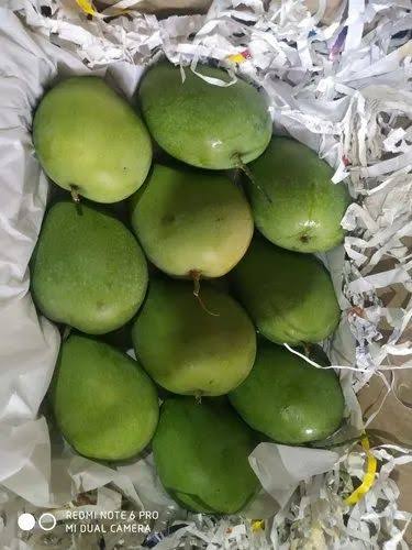 Organic Mango, Packaging Size : 5 Kg