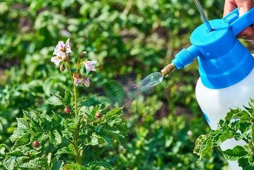 Herbal Liquid Organic Pest Repellent, Style : Spray