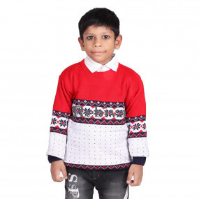 Rebiva Wool Boys Stylish Sweater, Technics : Machine Made