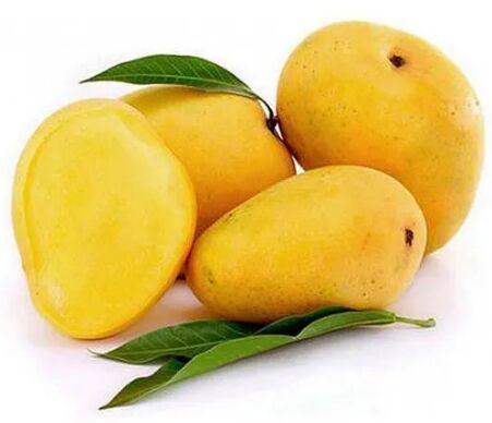Yellow Organic Mango, for Human Consumption