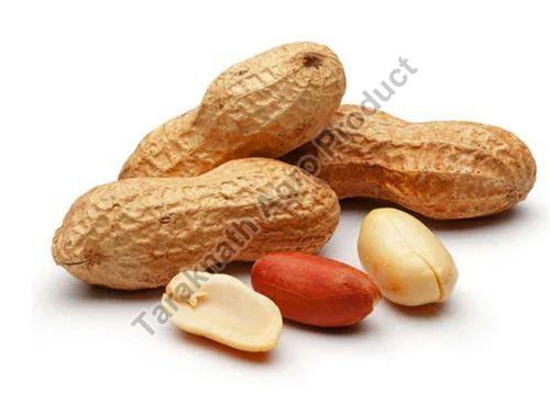 Ground Nut, for Oil, Herbal Formulation, Cooking, Ayurvedic Formulation, Packaging Type : Plastic Packat