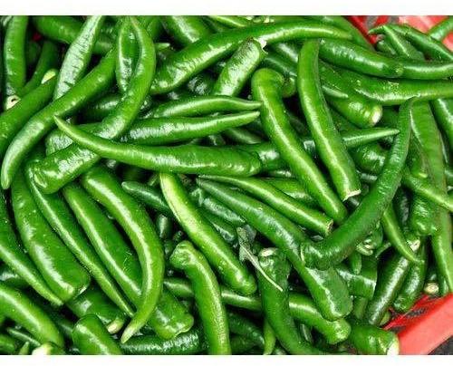 A Grade Green Chilli, for Cooking, Packaging Size : 20 kg
