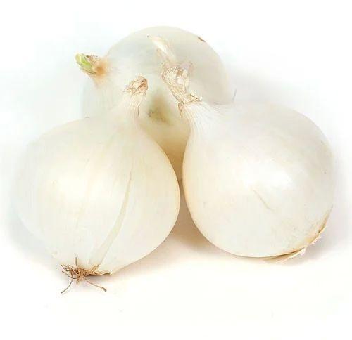 A Grade Maharashtra Fresh White Onion, Feature : Healthy