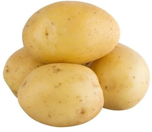 Brown A Grade Fresh Potato, Packaging Size : 20 kg