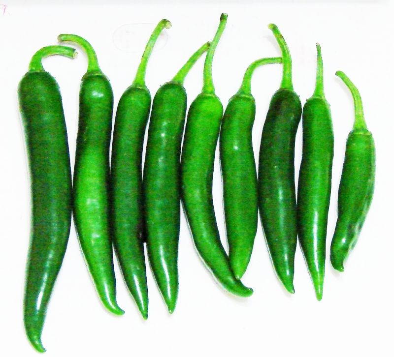 Export Quality Green Chilli, for Cooking, Packaging Size : 20 kg
