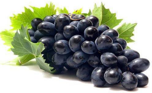 Fresh Black Grapes, Packaging Type : Box