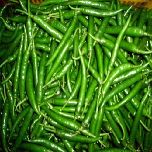 Spicy Green Chilli, for Cooking, Packaging Size : 20 kg