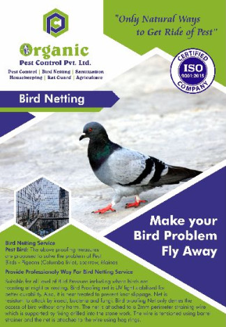 Bird Netting Services, Color : White