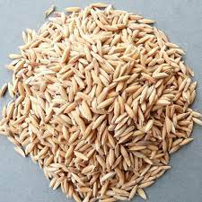 Natural BB11 Paddy Seeds, for Agriculture, Packaging Type : Gunny Bag