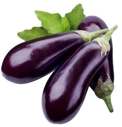 fresh brinjal