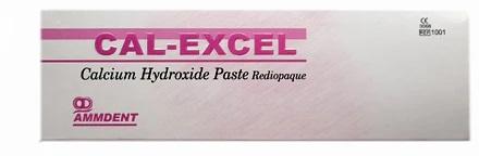 Ammdent Cal Excel Radiopaque Calcium Hydroxide Dental Paste