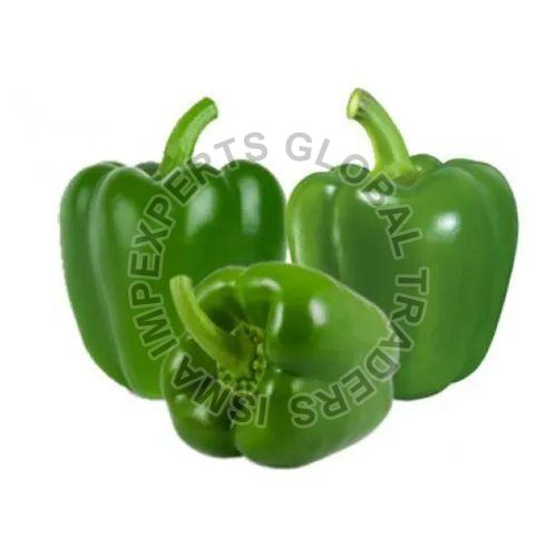 Fresh Green Capsicum, for Cooking, Shelf Life : 3-5days