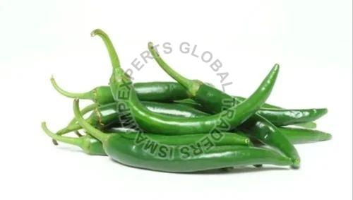 Fresh Green Chilli, For Cooking, Packaging Type : Gunny Bag