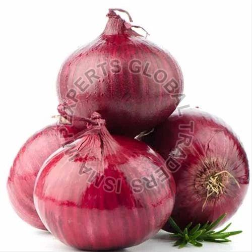 Fresh Red Onion, for Cooking, Shelf Life : 30 To 60 Days
