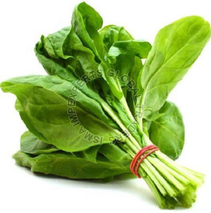 Organic Fresh Spinach, for Cooking, Shelf Life : 10 Days