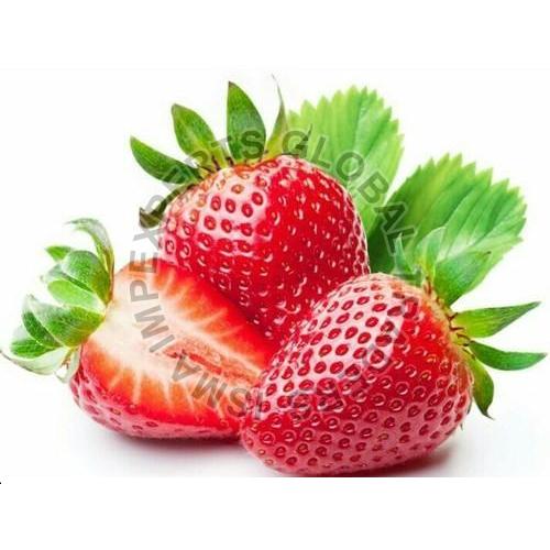 Common Fresh Strawberry, Freezing Process : Cold Storage