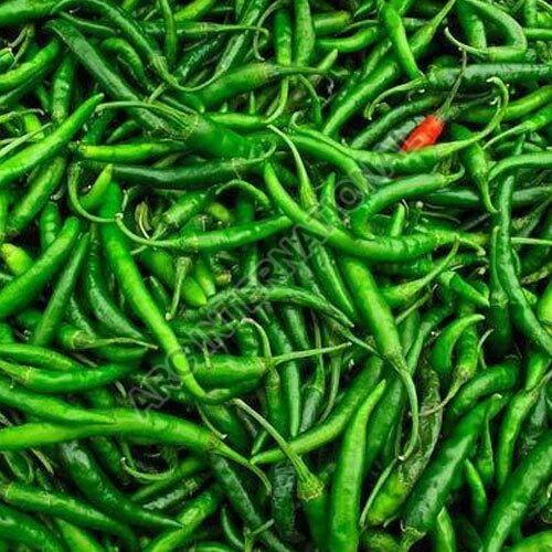 G4 Green Chilli, for Cooking, Quality Available : A Grade