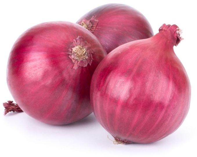 Natural Fresh Red Onions, Packaging Type : Net Bag