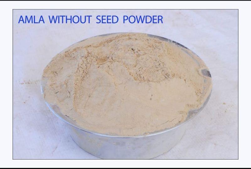 Amla Without Seeds Powder