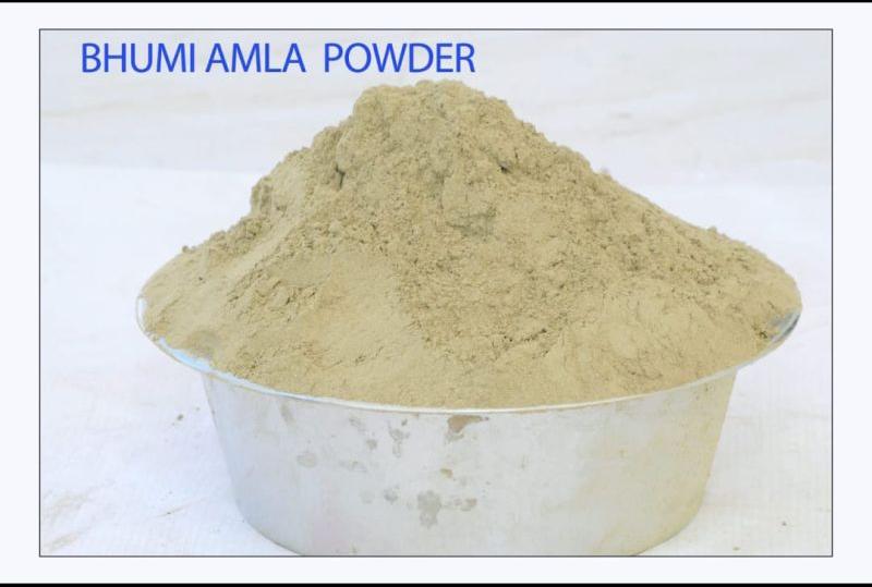 Bhumi Amla Powder