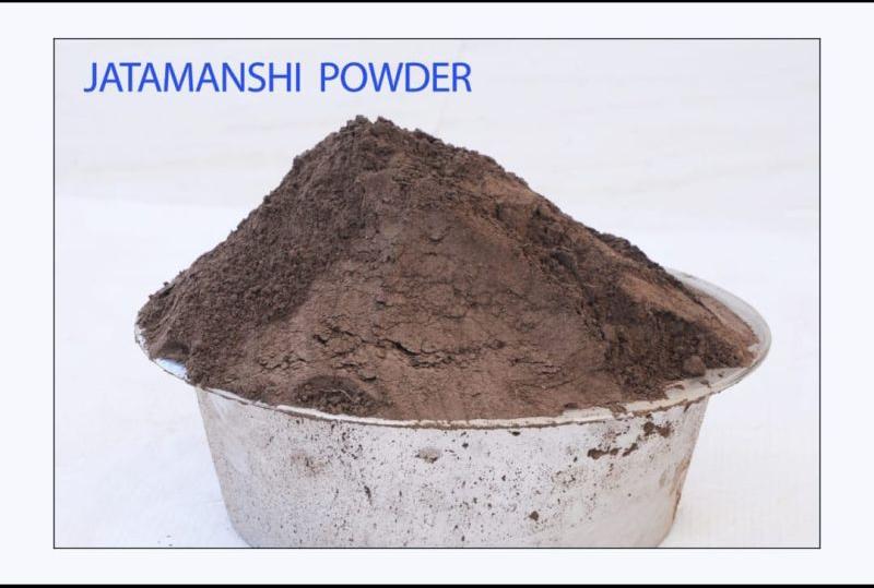 Jatamanshi Powder, Shelf Life : 12 Month