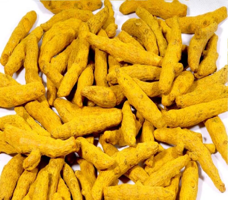 Yellow Indian Turmeric Finger For Cooking Shelf Life Month At