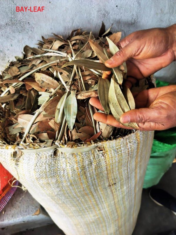 Dried Bay Leaves, Packaging Size : 20 Kg