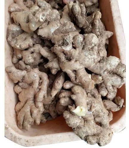 Dried Ginger Roots