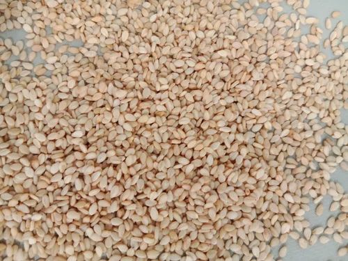 Natural White Sesame Seeds, for Cooking, Packaging Size : 20 kg