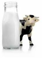 Fresh Cow Milk