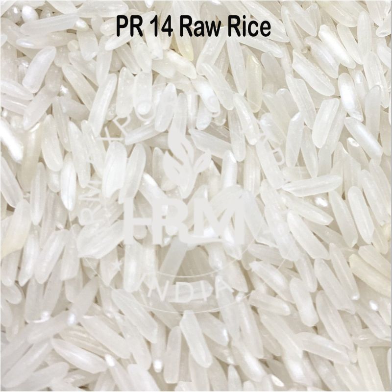 White PR14 Raw Non Basmati Rice, for Human Consumption, Variety : Long Grain