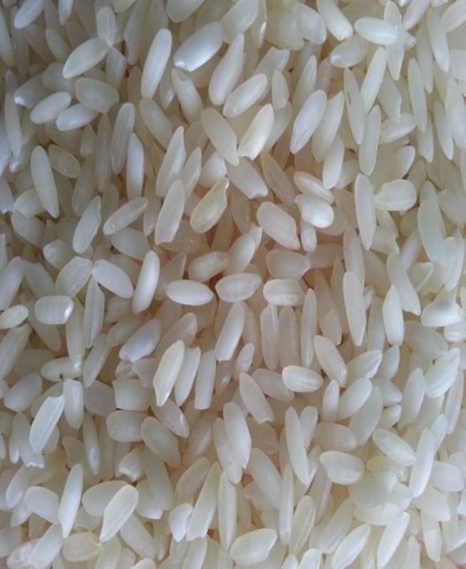 Creamy Swarna Raw Non Basmati Rice, for Human Consumption, Variety : Long Grain