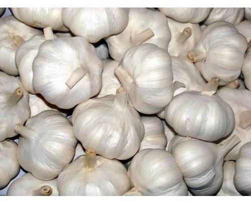 Natural Fresh Garlic