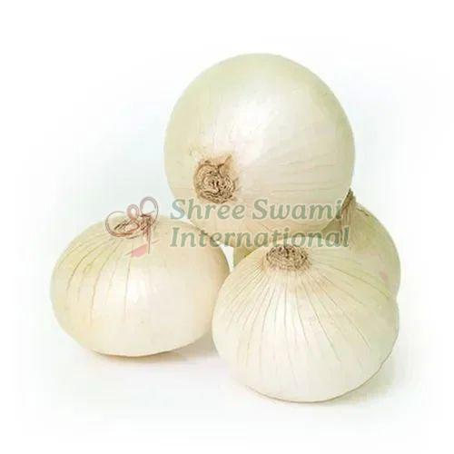 A Grade White Onion, Packaging Size : 20 Kg, 25kg, 50 Kg