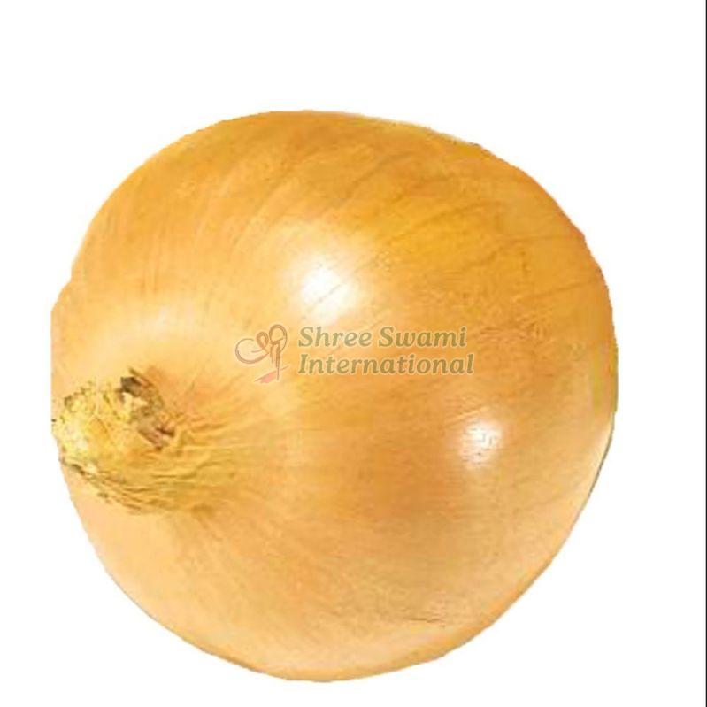 A Grade Yellow Onion