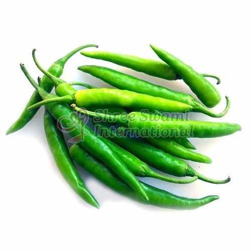 Fresh Green Chilli, for Cooking, Quality Available : A Grade