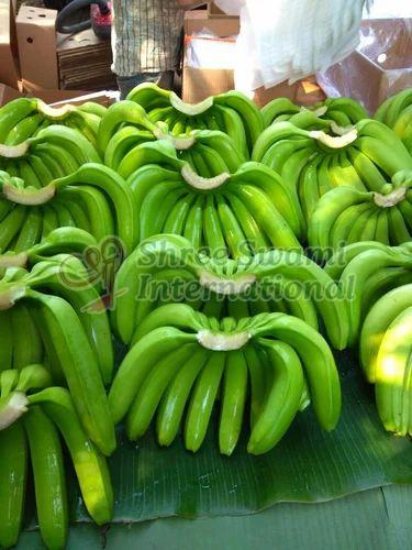 Natural Fresh Green G9 Banana for Cooking, Food Processing