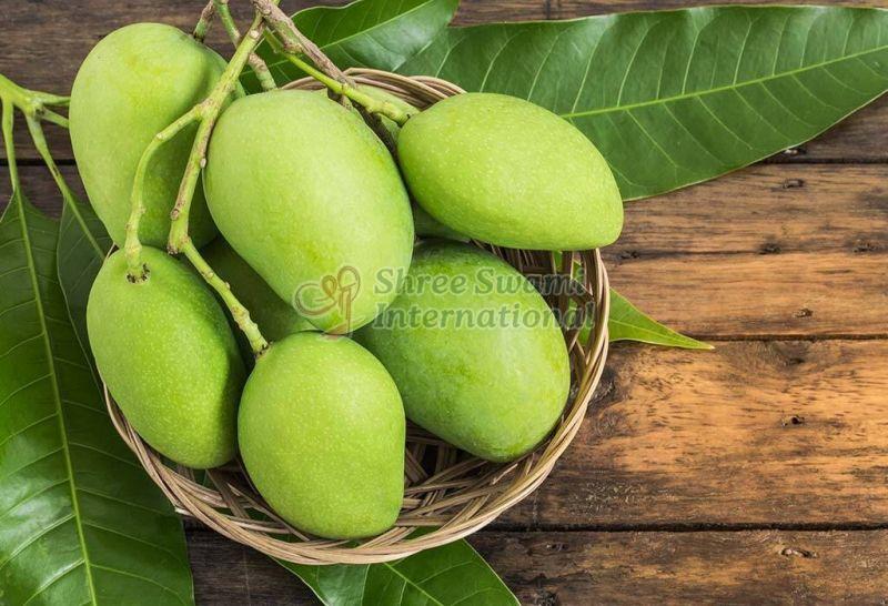 Green Organic Raw Mango