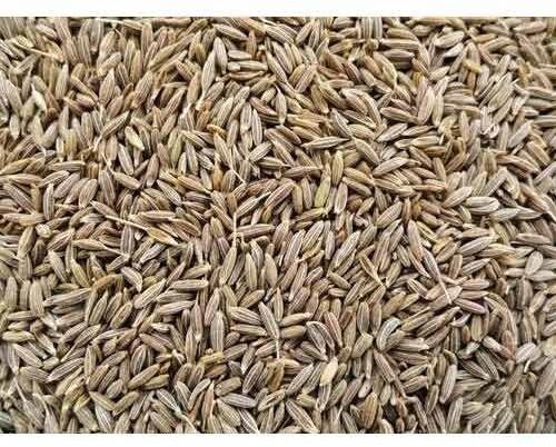 Cumin Seeds