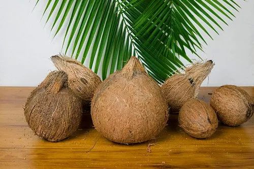 A Grade Organic Husked Coconut
