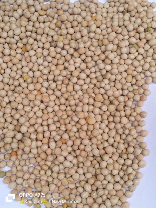 Whole Yellow Peas