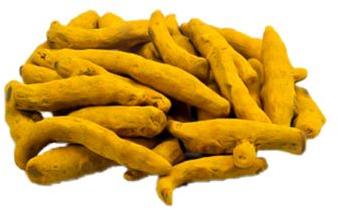 Bright Yellow Color Finger Bulb Raw Duggirala Turmeric, For Food Medicine, Cosmetics, Packaging Size : 45kgs