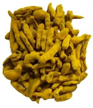 Erode Turmeric